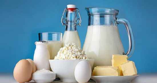 فواید لبنیات چیست ؛ تامین پروتئین مورد نیاز بدن با مصرف لبنیات
