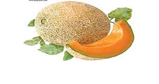 فواید ملون برای زن باردار و خواص مصرف ملون عسلی برای زنان باردار فواید ملون برای زن باردار ؛ خواص مصرف ملون عسلی برای زنان باردار