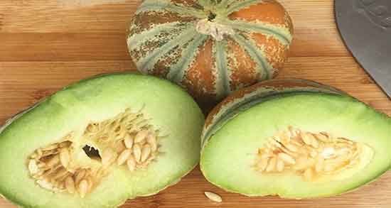 فواید ملون چیست ؛ خاصیت مصرف ملون عسلی برای زنان باردار