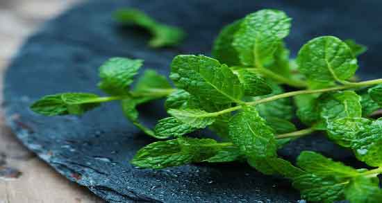 فواید نعناع فلفلی برای زن باردار ؛ حفظ سلامت زن باردار با مصرف نعناع فلفلی