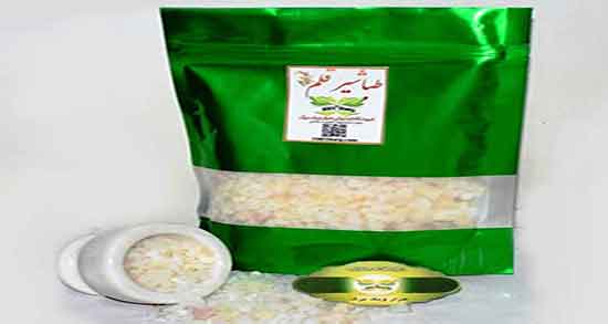 فواید و مضرات تباشیر ؛ خواص و عوارض گیاه تباشیر برای کیست بیضه