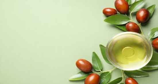 فواید و مضرات جوجوبا ؛ خاصیت و عوارض مصرف جوجوبا برای دیابت