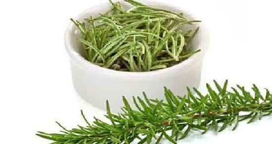 فواید و مضرات روغن رزماری ؛ آشنایی با خواص و مضرات روغن رزماری برای سلامتی