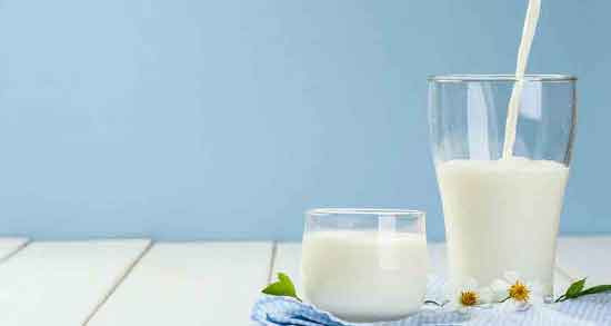 فواید و مضرات شیر الاغ ؛ استفاده از شیر الاغ چه خواص و مضراتی برای سلامتی دارد