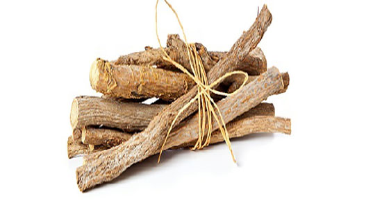 فواید و مضرات عصاره شیرین بیان ؛ خواص و عوارض گیاه شیرین بیان چیه