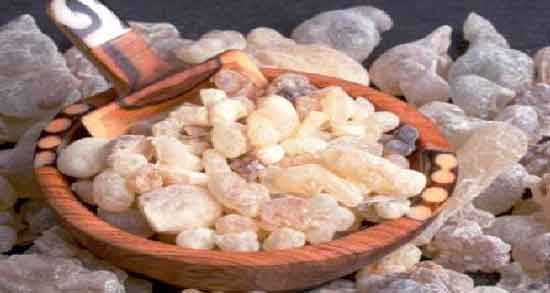 فواید کندر برای معده و فواید مصرف کندر برای درمان معده درد فواید کندر برای معده ؛ فواید مصرف کندر برای درمان معده درد