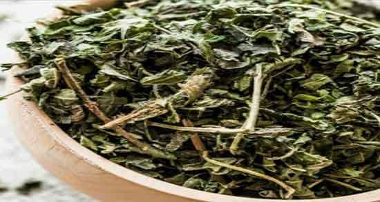 فواید گزنه برای قند ؛ خواص مصرف گیاه گزنه برای کاهش قند خون