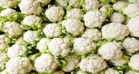 فواید گل کلم و آشنایی با خواص و فواید درمانی گل کلم برای سلامتی فواید گل کلم ؛ آشنایی با خواص و فواید درمانی گل کلم برای سلامتی