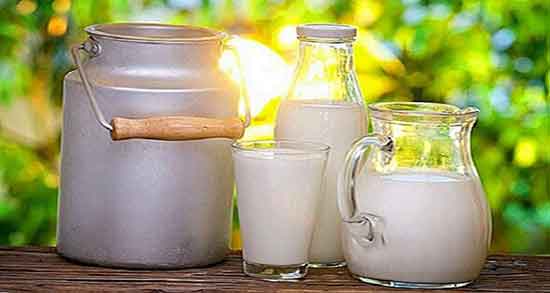 فواید گوشت و شیر گاو ؛ خواص گوشت قرمز و شیر گاو برای کودکان