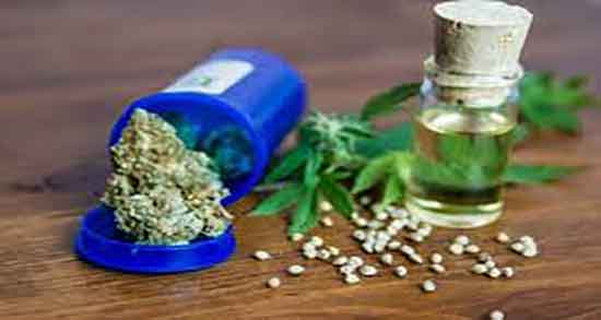 قطره روغن شاهدانه ؛ چند قطره روغن شاهدانه برای سوختگی مفیده