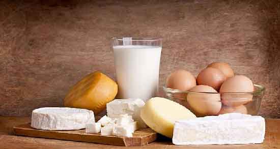 لبنیات در بدنسازی ؛ اهمیت خوردن لبنیات برای افراد بدنساز