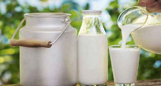 لبنیات در رژیم کتوژنیک ؛ آیا لبنیات در رژیم کتوژنیک جایگاهی دارد؟