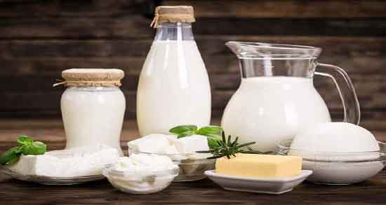 لبنیات چیست ؛ همه چیز درباره لبنیات و محصولات لبنی