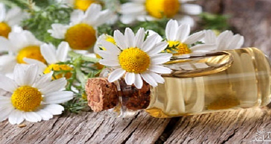 ماسک بابونه برای پوست چرب ؛ بابونه بهترین ماسک برای پوست های چرب