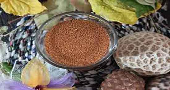 مضرات خاکشیر برای نوزادان ؛ عوارض مصرف خاکشیر برای کودکان چیست