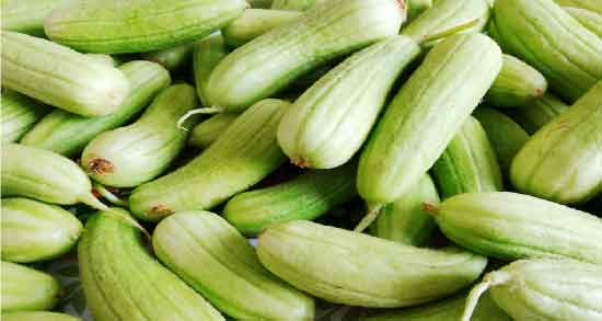 فواید خیار چنبر در بارداری ؛ خوردن خیار چنبر چه خواصی برای زن باردار دارد