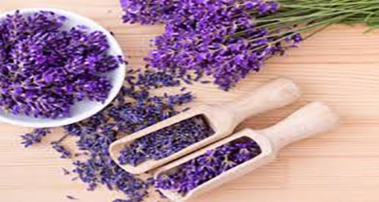 مضرات روغن اسطوخودوس ؛ عوارض مصرف روغن اسطوخودوس چیست