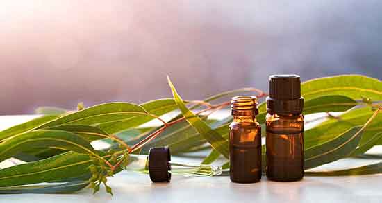 مضرات روغن اکالیپتوس ؛ مضرات مصرف روغن اکالیپتوس برای کودکان
