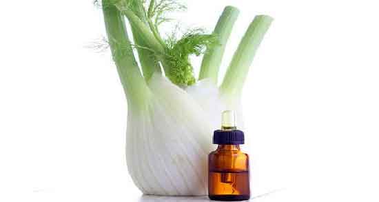 مضرات روغن رازیانه برای مردان ؛ استفاده از روغن رازیانه چه ضرری برای سلامت مردان دارد