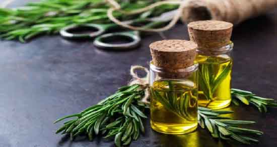 مضرات روغن رزماری ؛ آشنایی با عوارض و مضرات استفاده از روغن رزماری