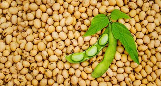 مضرات روغن مایع سویا ؛ عوارض مصرف روغن مایع سویا برای کودکان