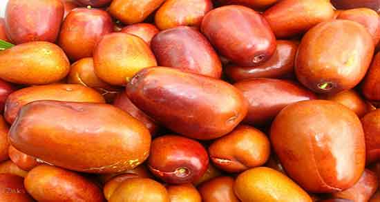 مضرات سنجد برای دیابت ؛ ایا مصرف سنجد برای قند خون بالا مضر است