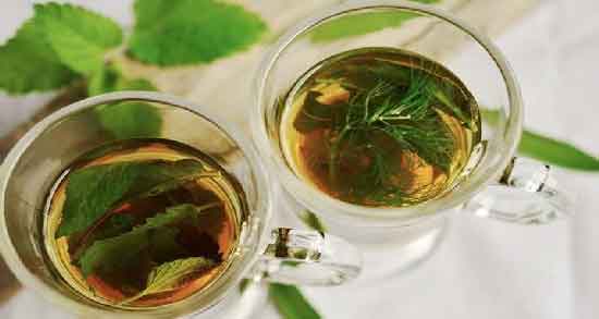 مضرات شنبلیله در بارداری و استفاده از شنبلیله چه ضرری برای زن باردار دارد مضرات شنبلیله در بارداری ؛ استفاده از شنبلیله چه ضرری برای زن باردار دارد