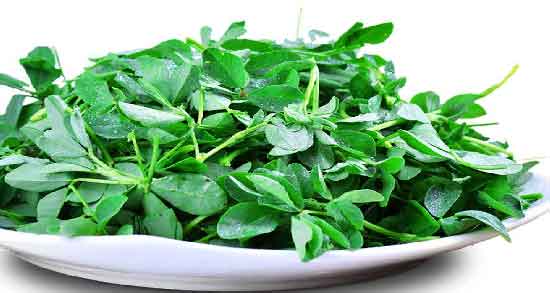 مضرات شنبلیله در طب سنتی و مضرات خوردن شنبلیله از نظر طب سنتی مضرات شنبلیله در طب سنتی ؛ مضرات خوردن شنبلیله از نظر طب سنتی