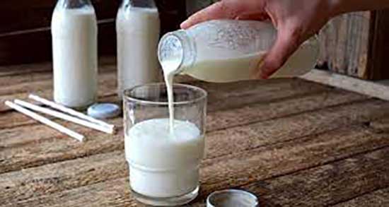 مضرات شیر شتر در بارداری ؛ عوارض مصرف شیر شتر در دوران بارداری