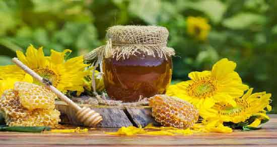 مضرات عسل کنار ؛ همه چیز درباره عوارض و مضرات خوردن عسل کنار