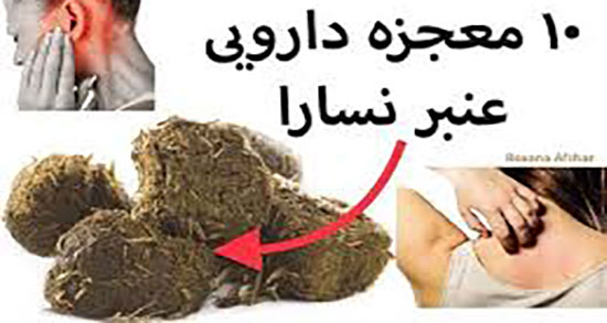 مضرات عنبر نسا در بارداری ؛ عوارض استفاده از عنبر نسا در دوران بارداری