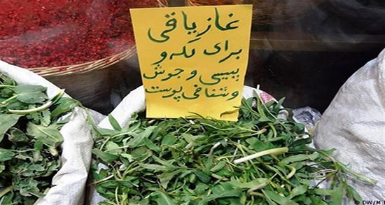 مضرات غازیاغی ؛ فواید و عوارض مصرف غازیاغی برای کودکان
