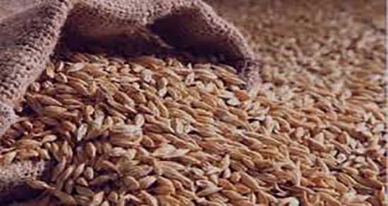 مضرات مصرف سبوس گندم ؛ عوارض مصرف سبوس گندم برای دیابت