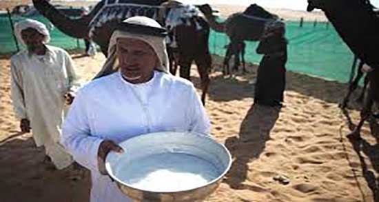 مضرات مصرف شیر شتر ؛ ایا خوردن شیر شتر برای زنان باردار مضر است