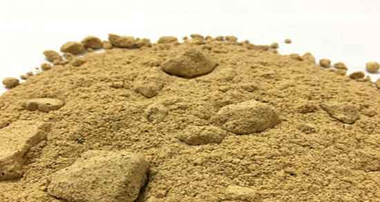 مضرات پودر سنجد ؛ عوارض مصرف پودر سنجد در دوران بارداری زنان