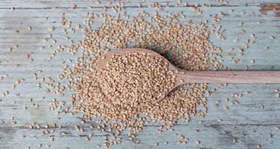 مضرات کنجد در طب سنتی ؛ همه چیز درباره عوارض و مضرات کنجد
