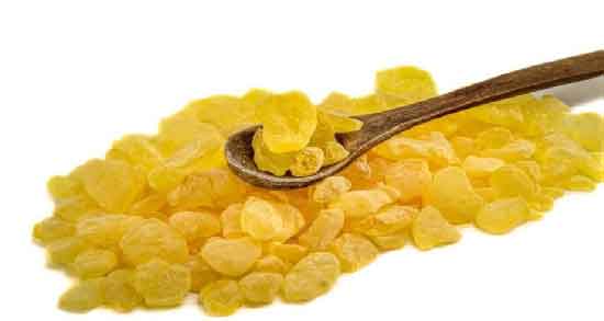 مضرات کندر برای ریه و استفاده از کندر چه ضرری برای ریه دارد مضرات کندر برای ریه ؛ استفاده از کندر چه ضرری برای ریه دارد