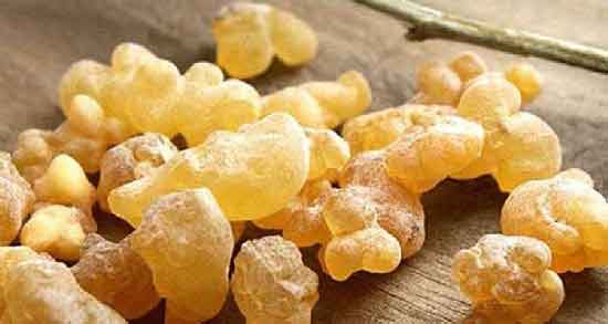 مضرات کندر و بررسی عوارض و مضرات مصرف کندر مضرات کندر ؛ بررسی عوارض و مضرات مصرف کندر