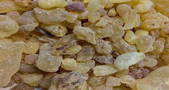مضرات کندر چیست ؛ همه چیز درباره مضرات مصرف کندر