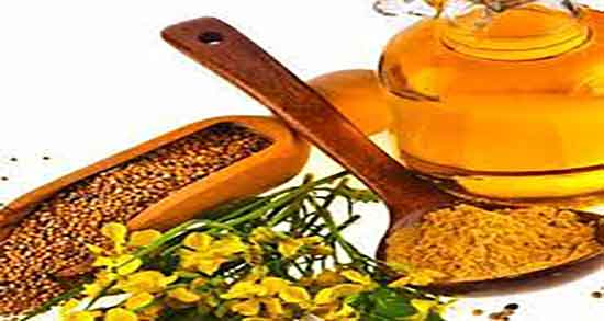 مضرات گیاه خردل و عوارض گیاه خردل برای سرماخوردگی کودکان مضرات گیاه خردل ؛ عوارض گیاه خردل برای سرماخوردگی کودکان