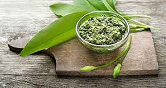 مضرات گیاه والک ؛ عوارض مصرف گیاه والک برای کودکان و اطفال