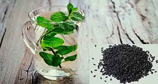 معجزه بارهنگ ؛ معجزه بارهنگ و عرق نعناع برای درمان زخم معده