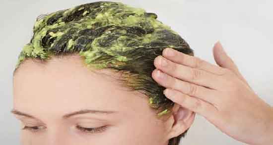 معجون شنبلیله برای ریزش مو ؛ آموزش درست کردن معجون شنبلیله برای درمان ریزش مو