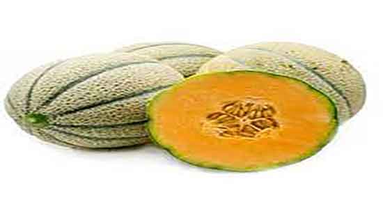 ملون از نظر طب سنتی و خاصیت مصرف ملون از نظر طب سنتی چیست ملون از نظر طب سنتی ؛ خاصیت مصرف ملون نظر طب سنتی چیست