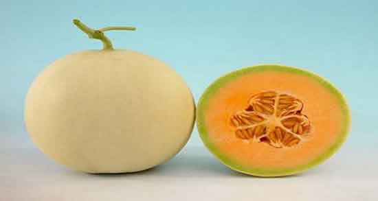 ملون برای دیابت ؛ کنترل دیابت بارداری با خوردن ملون سبز رنگ