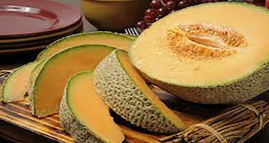 ملون برای سگ ؛ ایا میتوان به توله سگ میوه ملون عسلی را داد