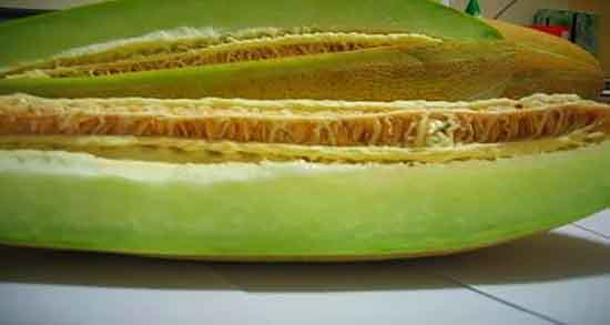 ملون برای گلو درد ؛ درمان گلو درد با خوردن روزانه ملون عسلی