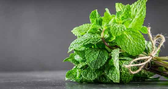 منظور از نعناع فلفلی چیست و آشنایی کامل با گیاه نعناع فلفلی منظور از نعناع فلفلی چیست ؛ آشنایی کامل با گیاه نعناع فلفلی