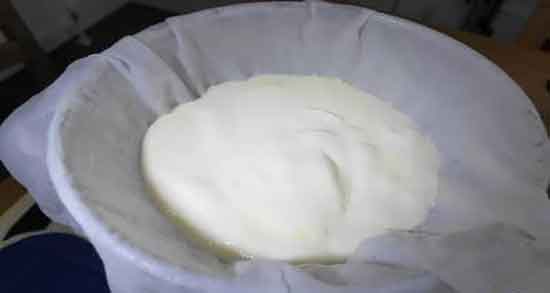 موسیر و دیابت ؛ خوردن ماست موسیر در بارداری برای کنترل قند خون