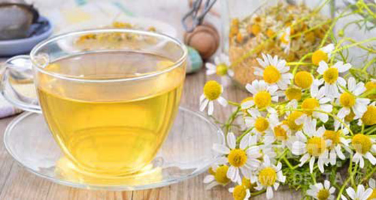 میزان مصرف بابونه در روز ؛ در طول روز چقدر میتوان دمنوش بابونه مصرف کرد